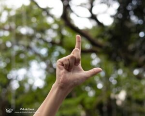 IMG_9469
