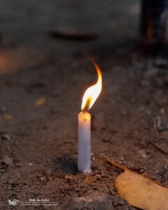 thumbnail_IMG_9482